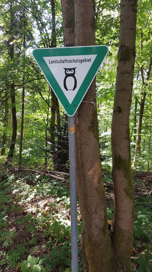 Schoener Weitblick Bad Sachsa Zewnętrze zdjęcie