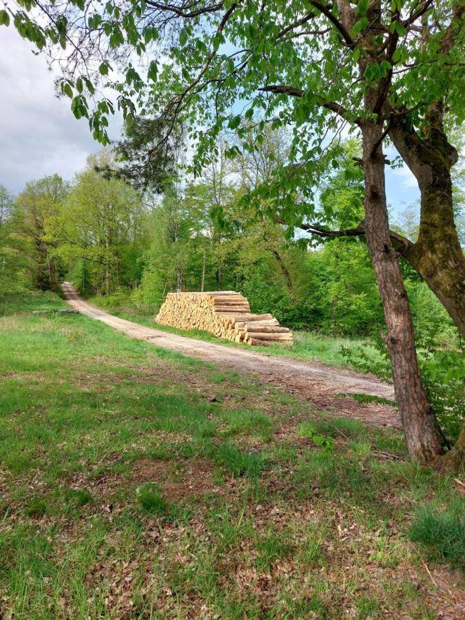 Schoener Weitblick Bad Sachsa Zewnętrze zdjęcie